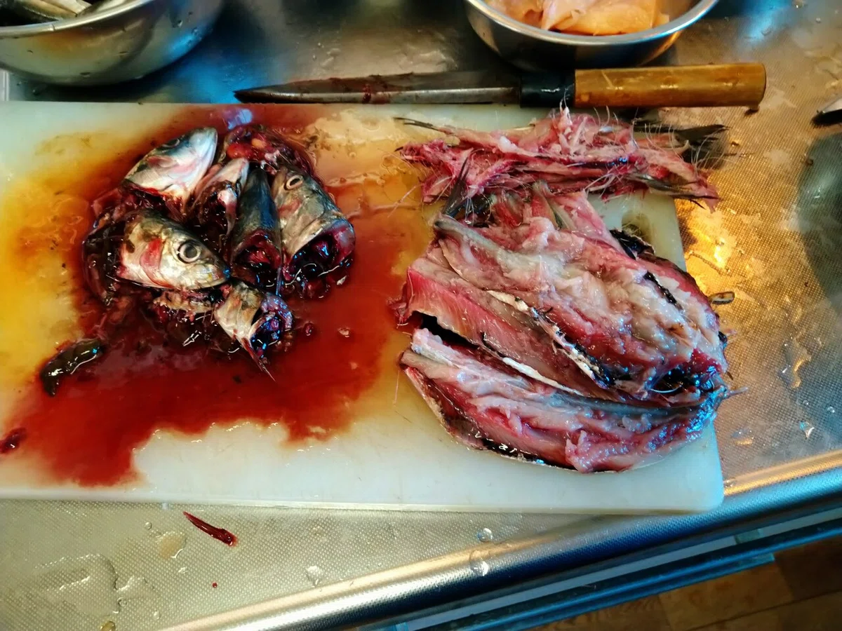 画像15