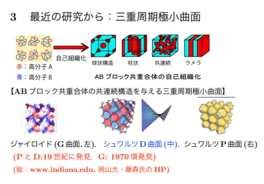 画像14