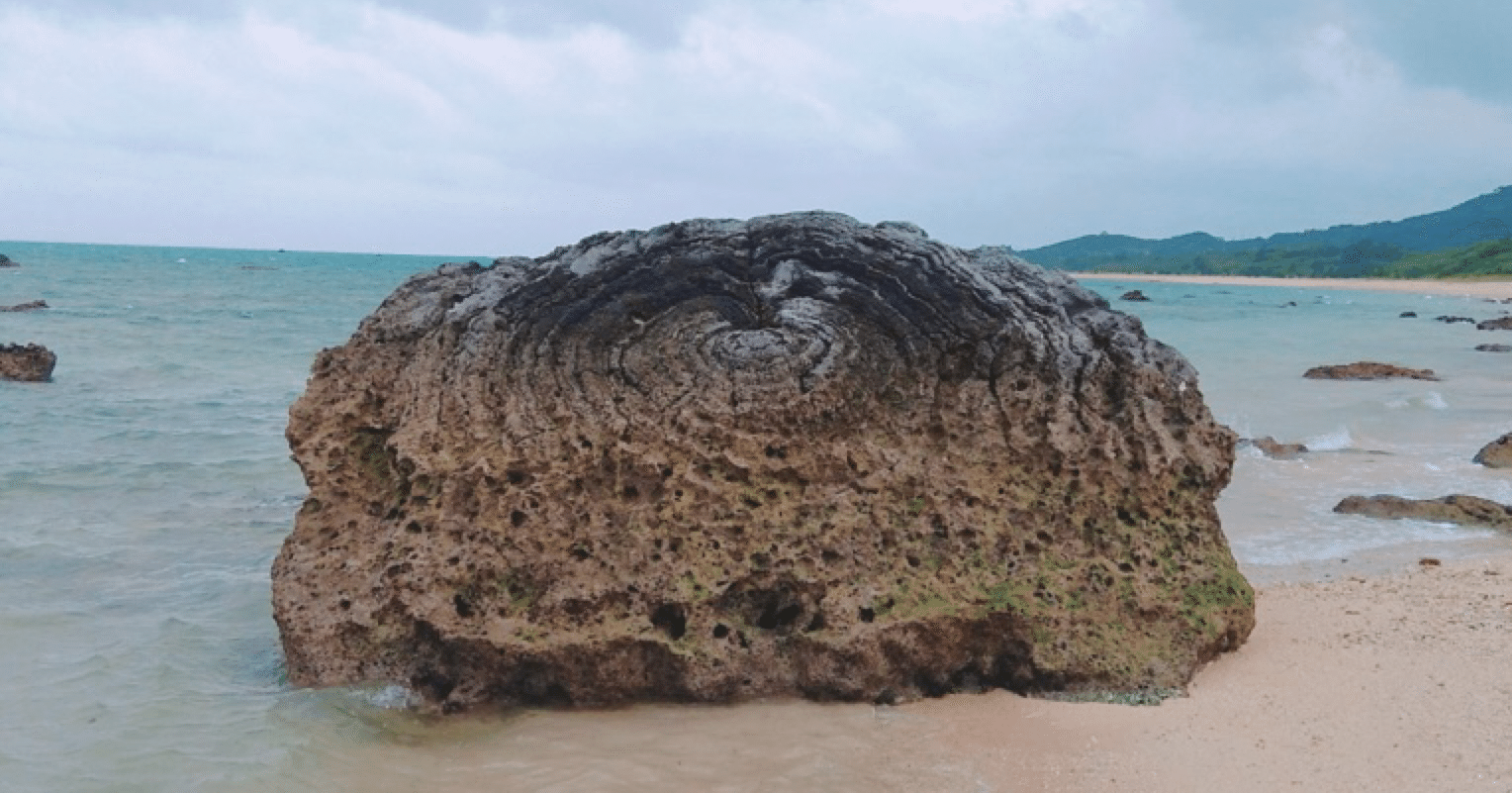 胚盤胞移植 判定日前の症状 にゃお Note