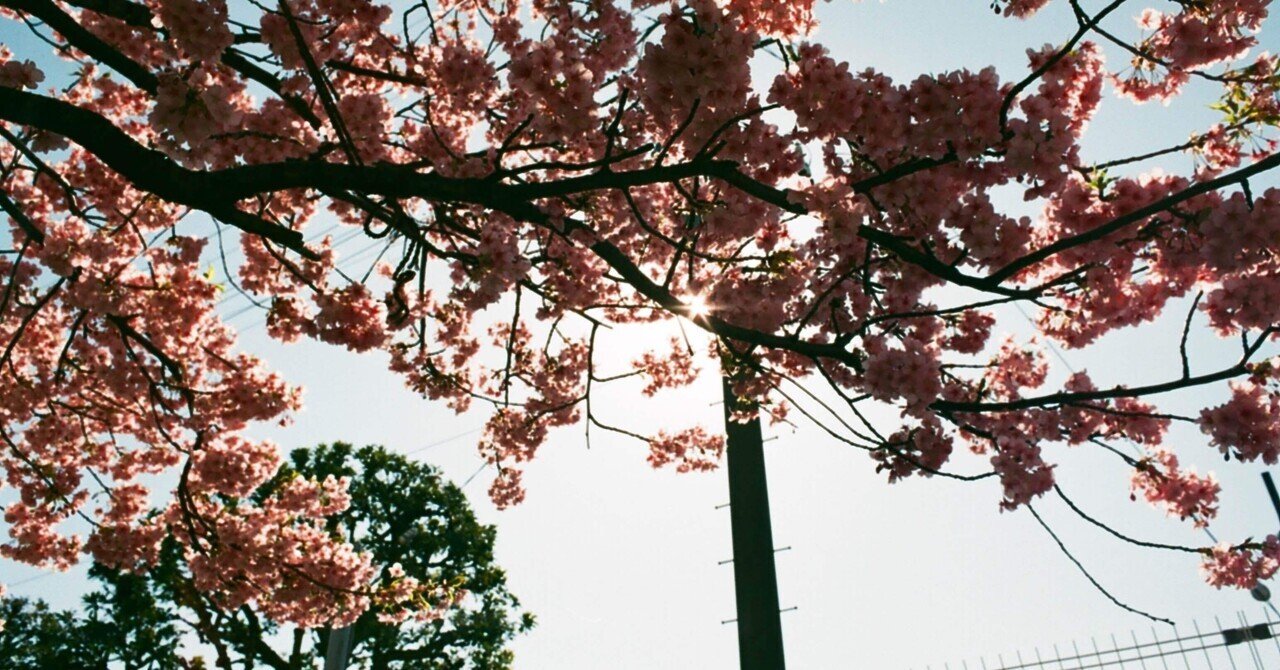 花束みたいな恋をした を観たら 恋したくなった 森林 Note