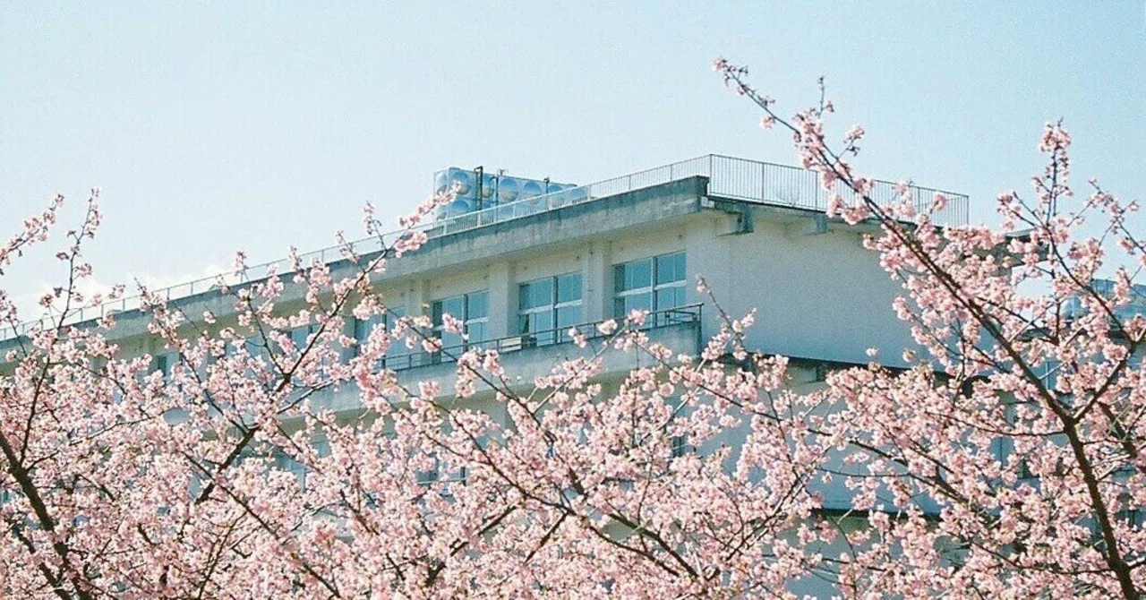 Even though it's spring... is this goodbye?｜Tomoka