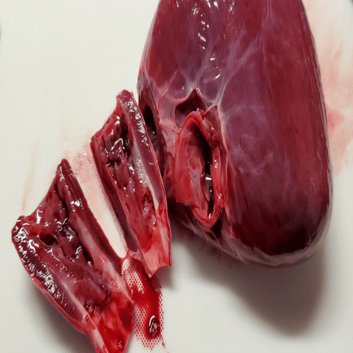 バーチャルシャークの共食いレビュー もんべ Note