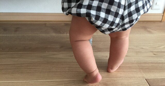 後追い 可愛いけど辛い 本多福太郎 Note