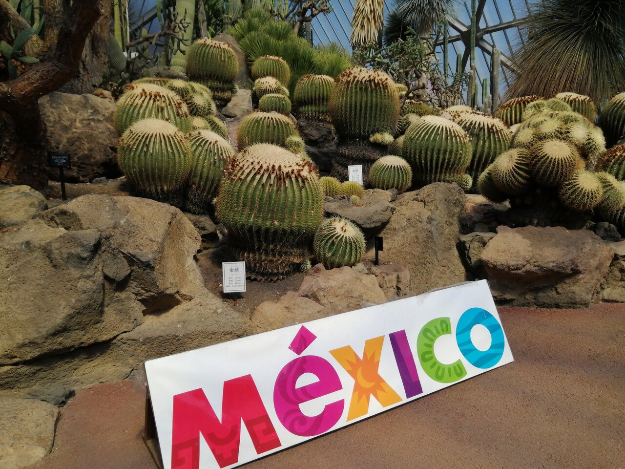 日記 3 10 3 12 禅宗ポメラニアン Note