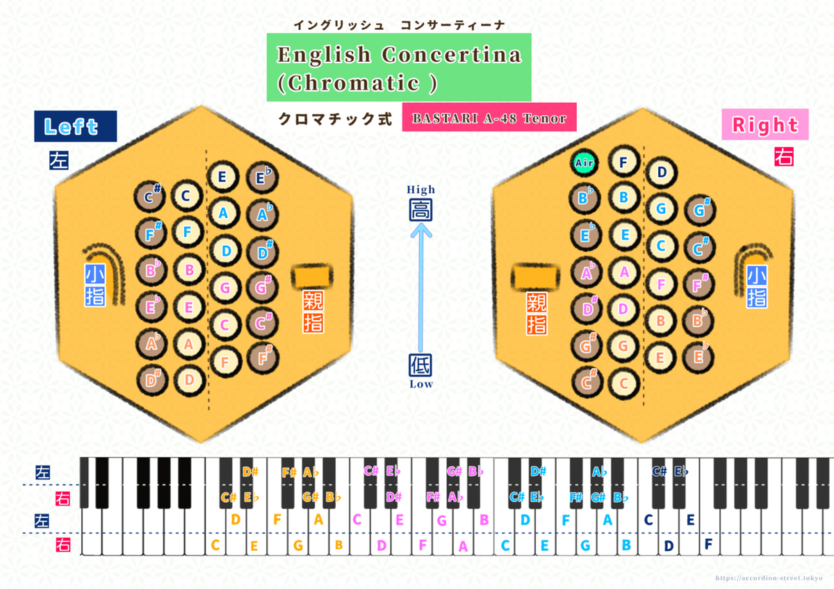 BASTARI コンサーティーナ 20ボタン40リード