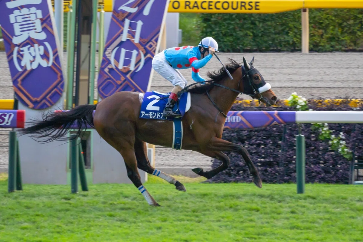 ウマ娘から競馬に興味をもったあなたへ、競馬場ではキミの愛馬の子孫が 