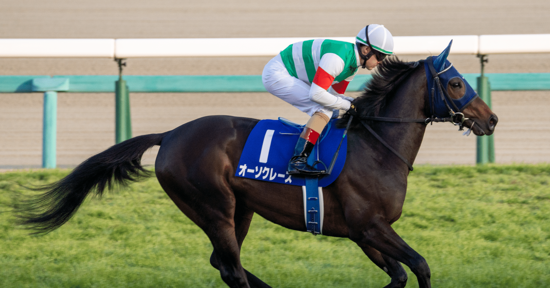 ウマ娘から競馬に興味をもったあなたへ 競馬場ではキミの愛馬の子孫が走っている それもたくさん ごま Note