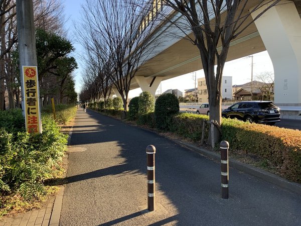 画像9