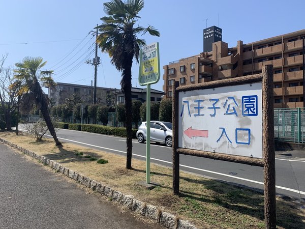 画像12
