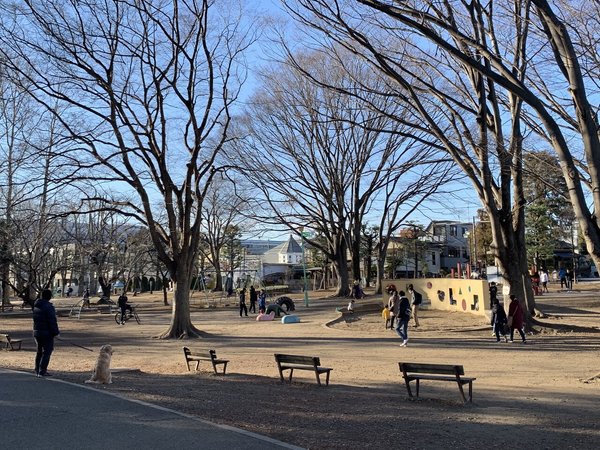 画像14