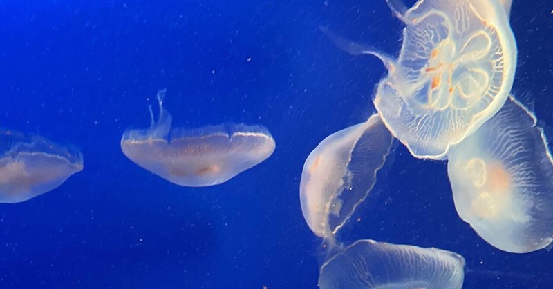 バイトで失敗して萎えぽよの人向け 1 2 3 Yon Note バイトで失敗して萎えぽよの人向け 1 2 3 Yon Note