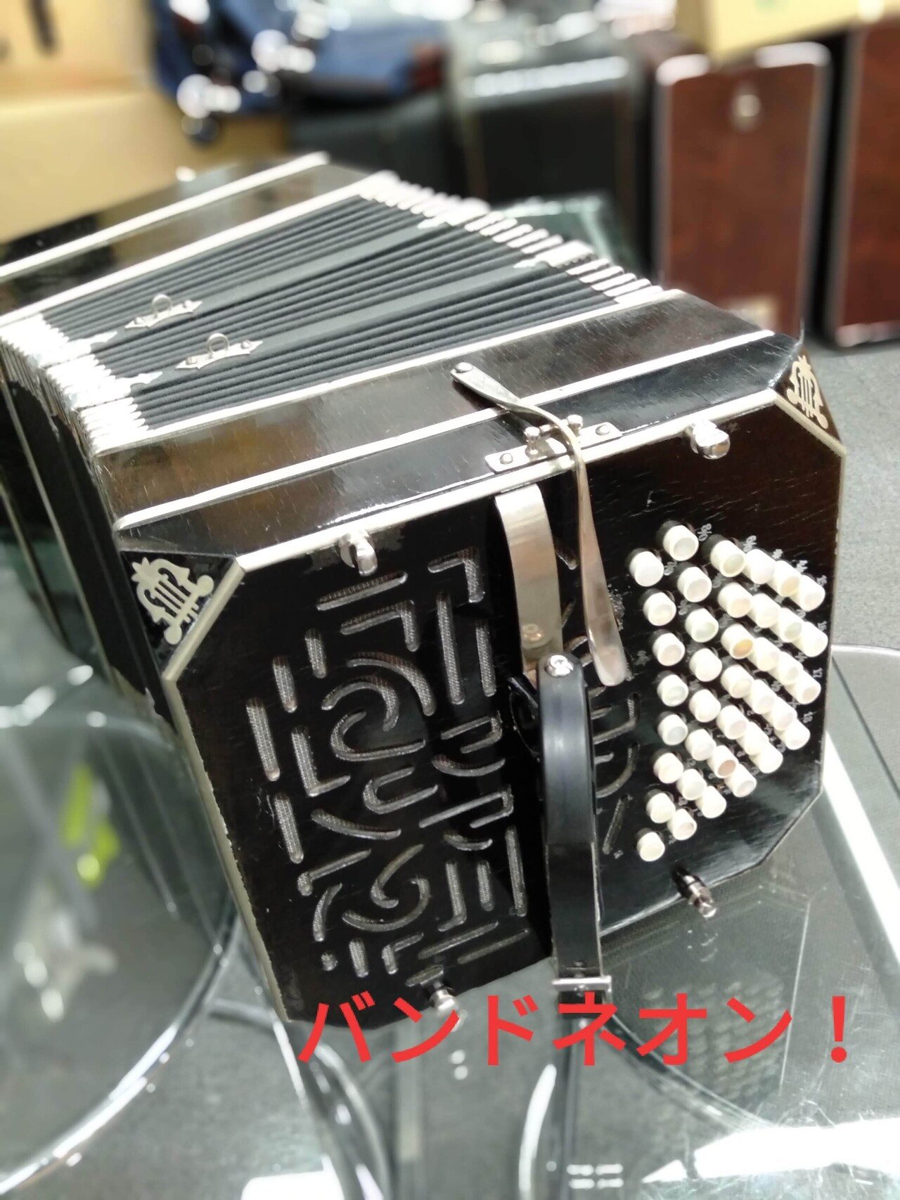 蛇腹楽器のABC~間違えられやすい3種のちがい-外観編 蛇腹楽器のABC~間違えられやすい3種のちがい-外観編
