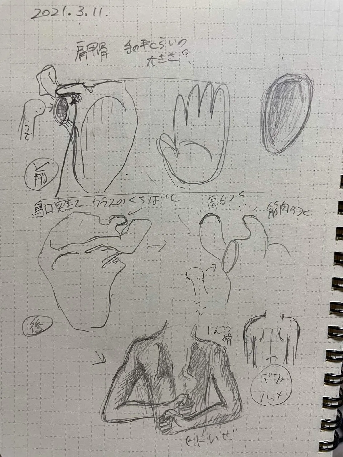 画像17