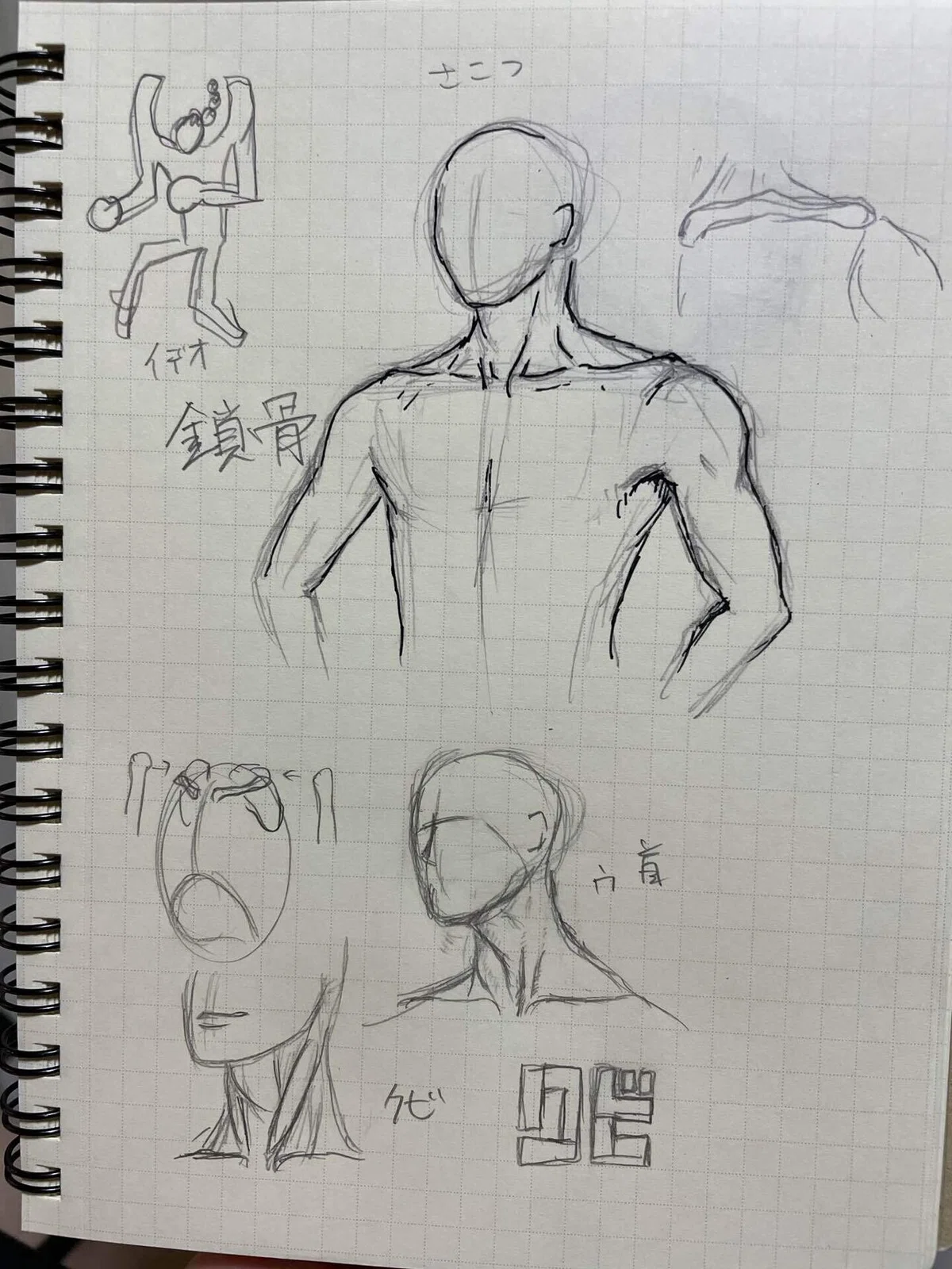 画像18