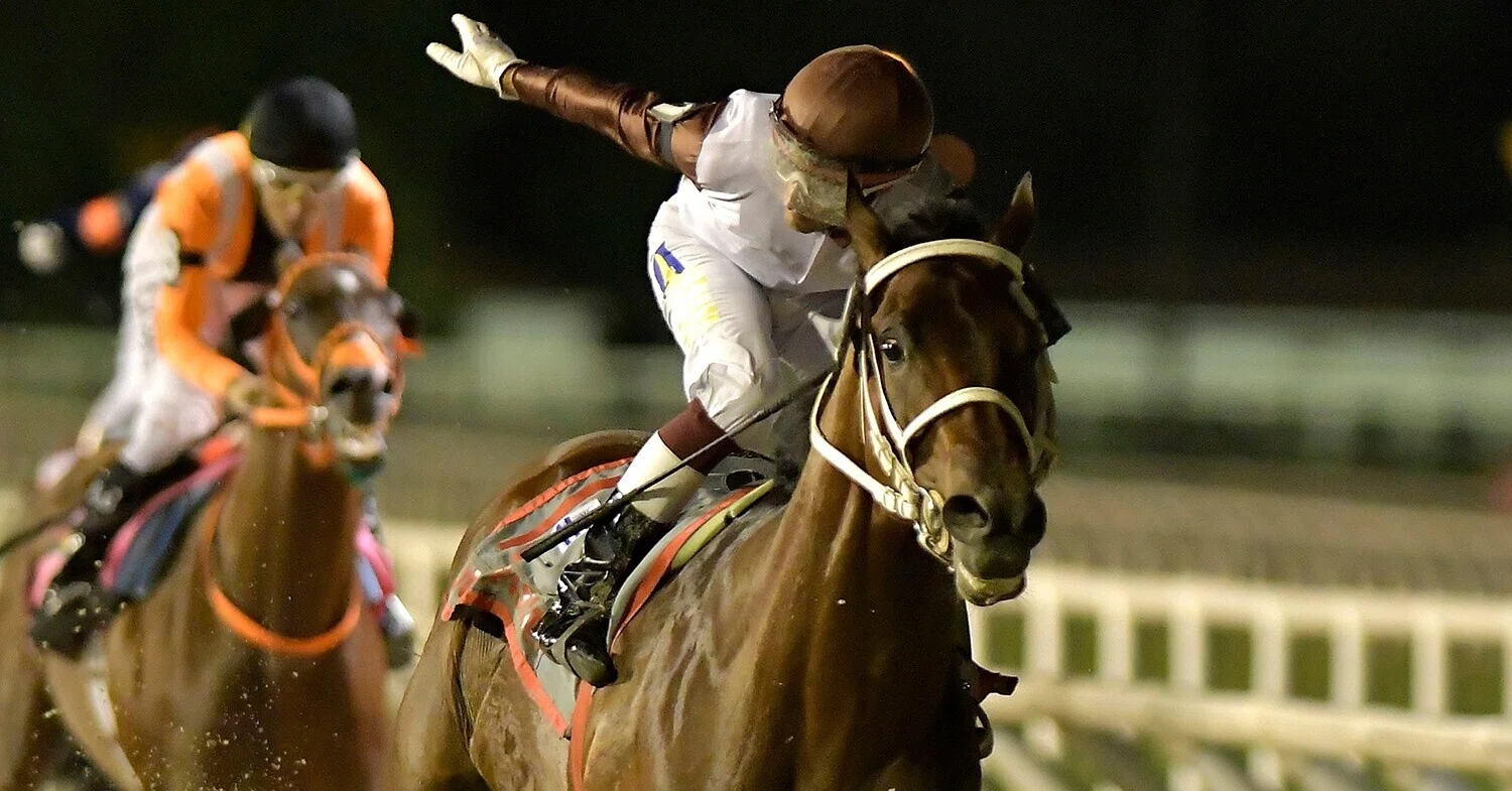 ウルグアイ馬アフステフィスカルがドバイwcに出走 木下 昂也 Koya Kinoshita Note