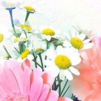 教員を目指す学生が書いた ５年３組リョウタ組 感想 あゆむ Note