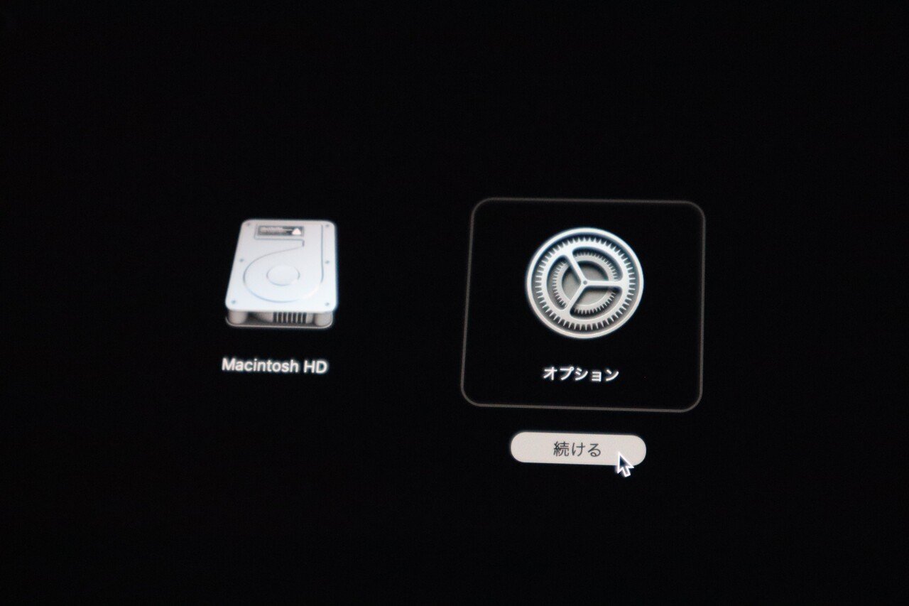 AMBIDEX Store △○もちもちラメ あぜフリルリブタートル(F