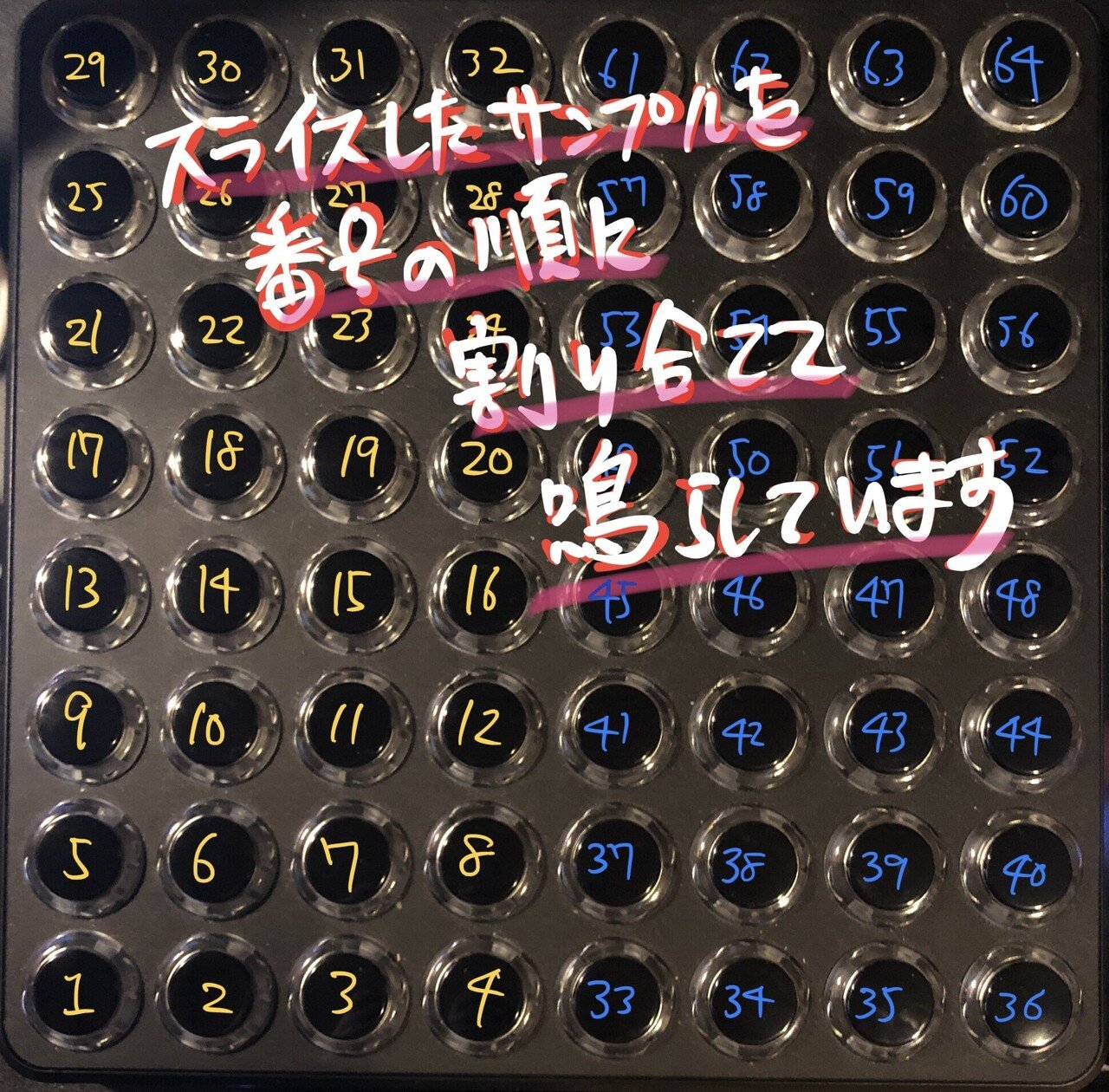 フィンガードラム入門🥁パッド配置について｜FingerDrum研究所