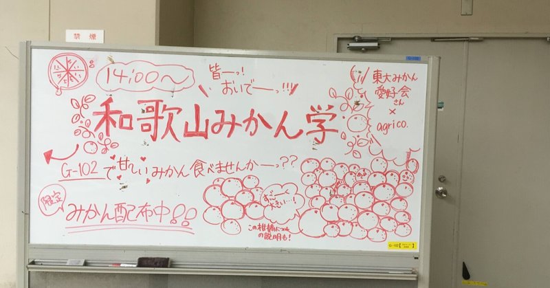 和歌山から みかん の魅力を発信する 和歌山大学新聞会 Note