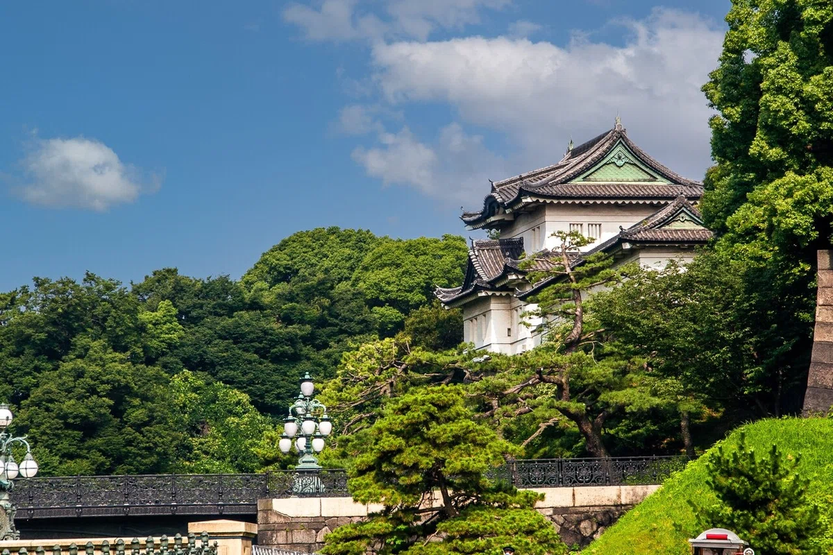 画像10