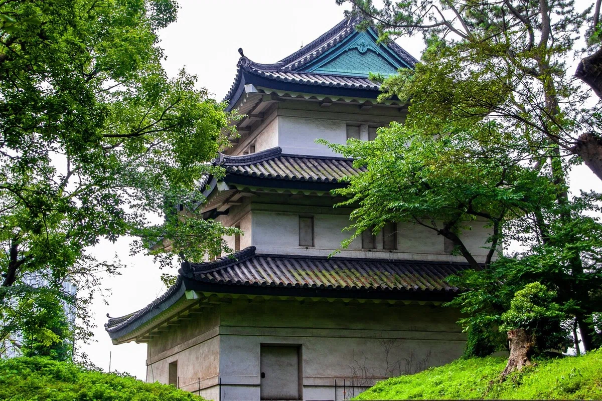 画像11