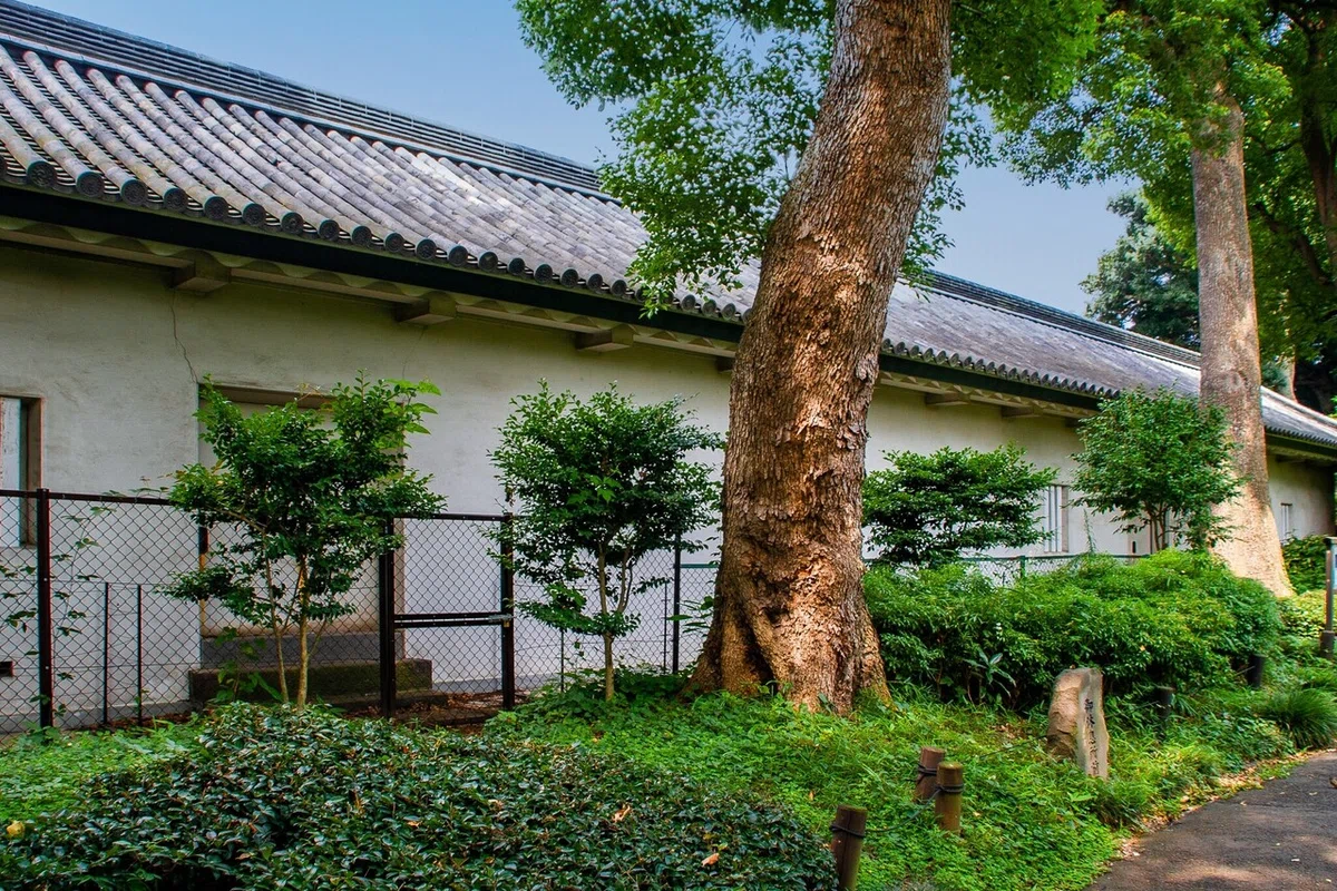 画像21