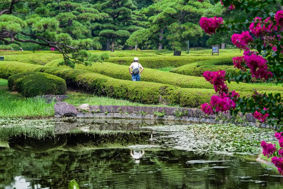 画像30