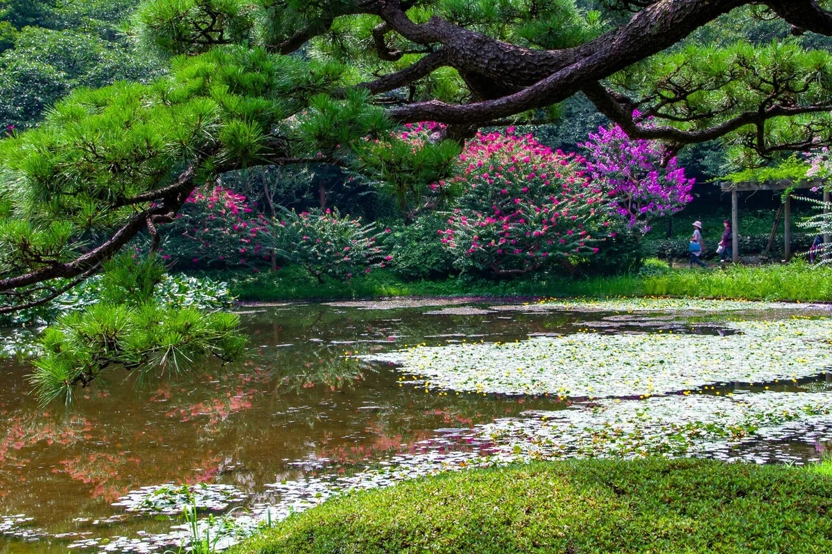 画像32