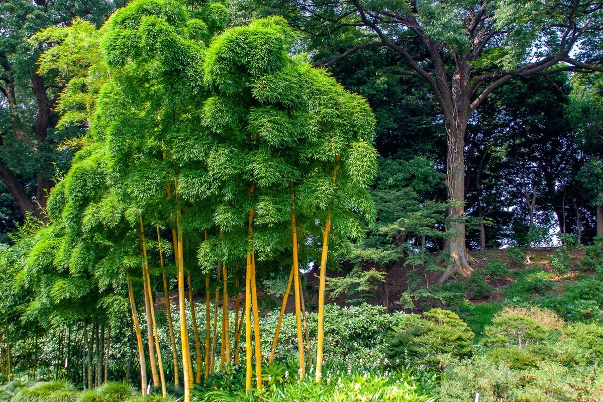 画像41