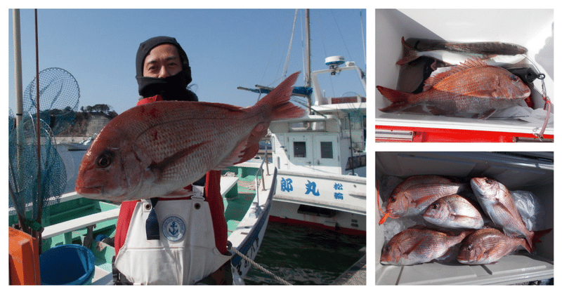 真鯛 トップ5枚 最大1 3kg あまさけや丸 Note