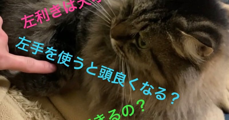 奇策 検証 左利き強制で本当に頭は良くなるの 石貫佑丞 Note