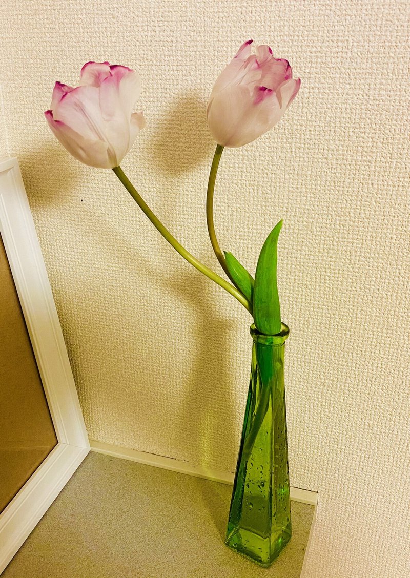春のチューリップ 加藤 美歩 画家 Neoカバラ数秘カウンセラー Note 春のチューリップ 加藤 美歩 画家 Neoカバラ数秘カウンセラー Note