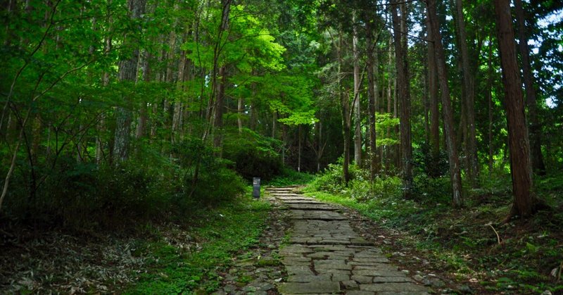 関西は花粉少なくて助かるわ かぼちゃかべ Note