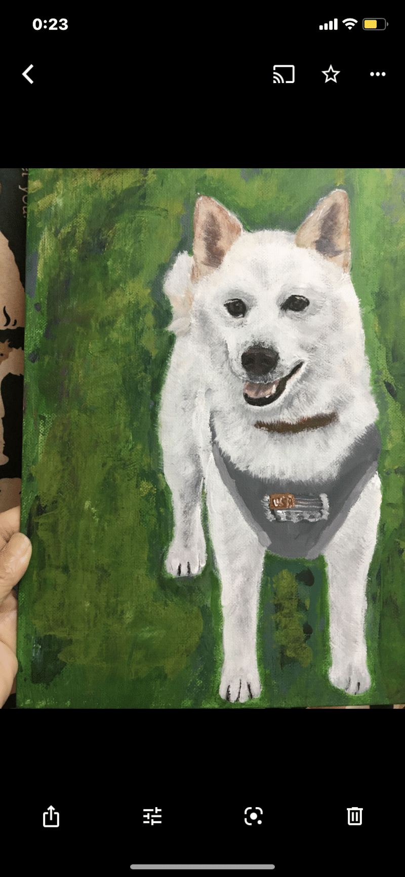 オーダー頂いた犬の絵たち あっきゃん Note オーダー頂いた犬の絵たち あっきゃん Note