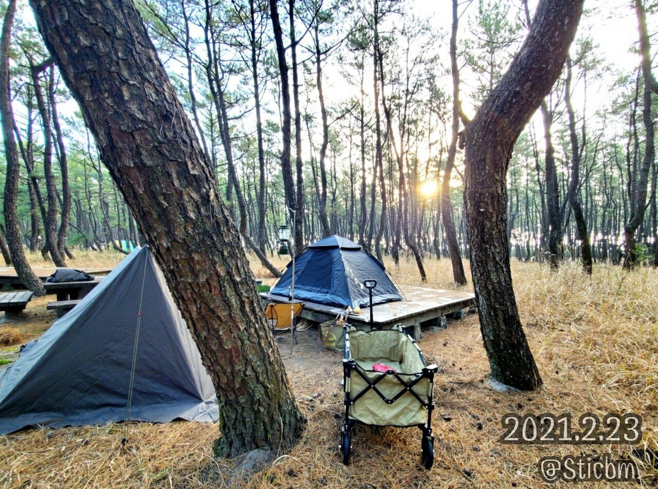 2021.2.22～23 （キャンプ２日目） DODワンタッチテント｜MOKA（+ Camp Life）｜note