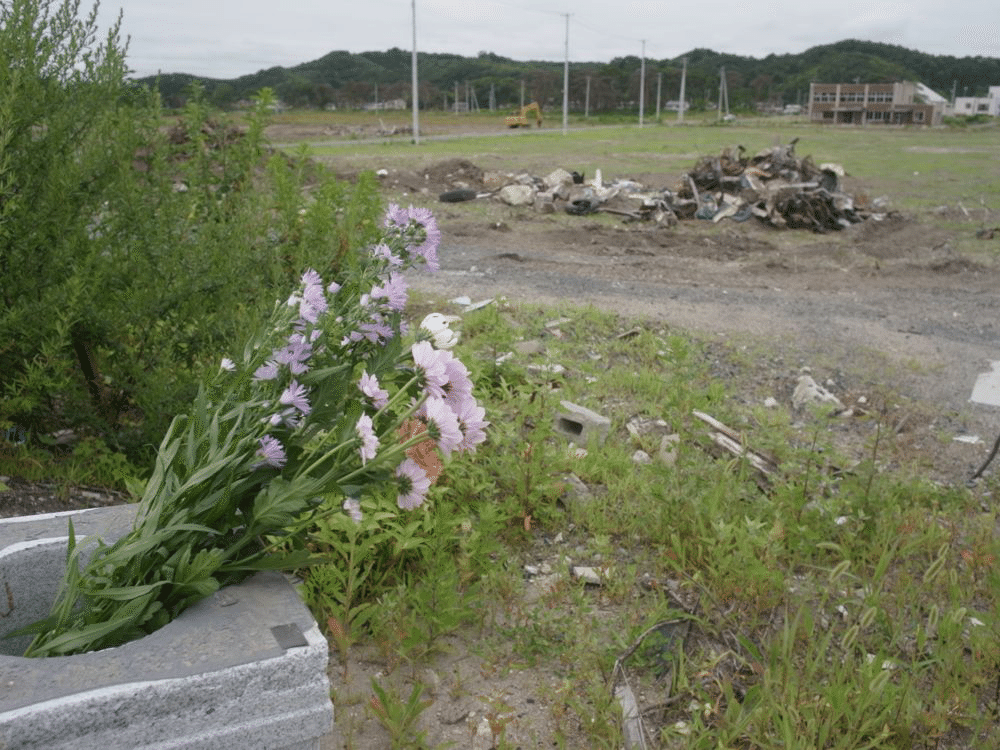 東北地方太平洋沖地震（宮城・野蒜周辺） (10)