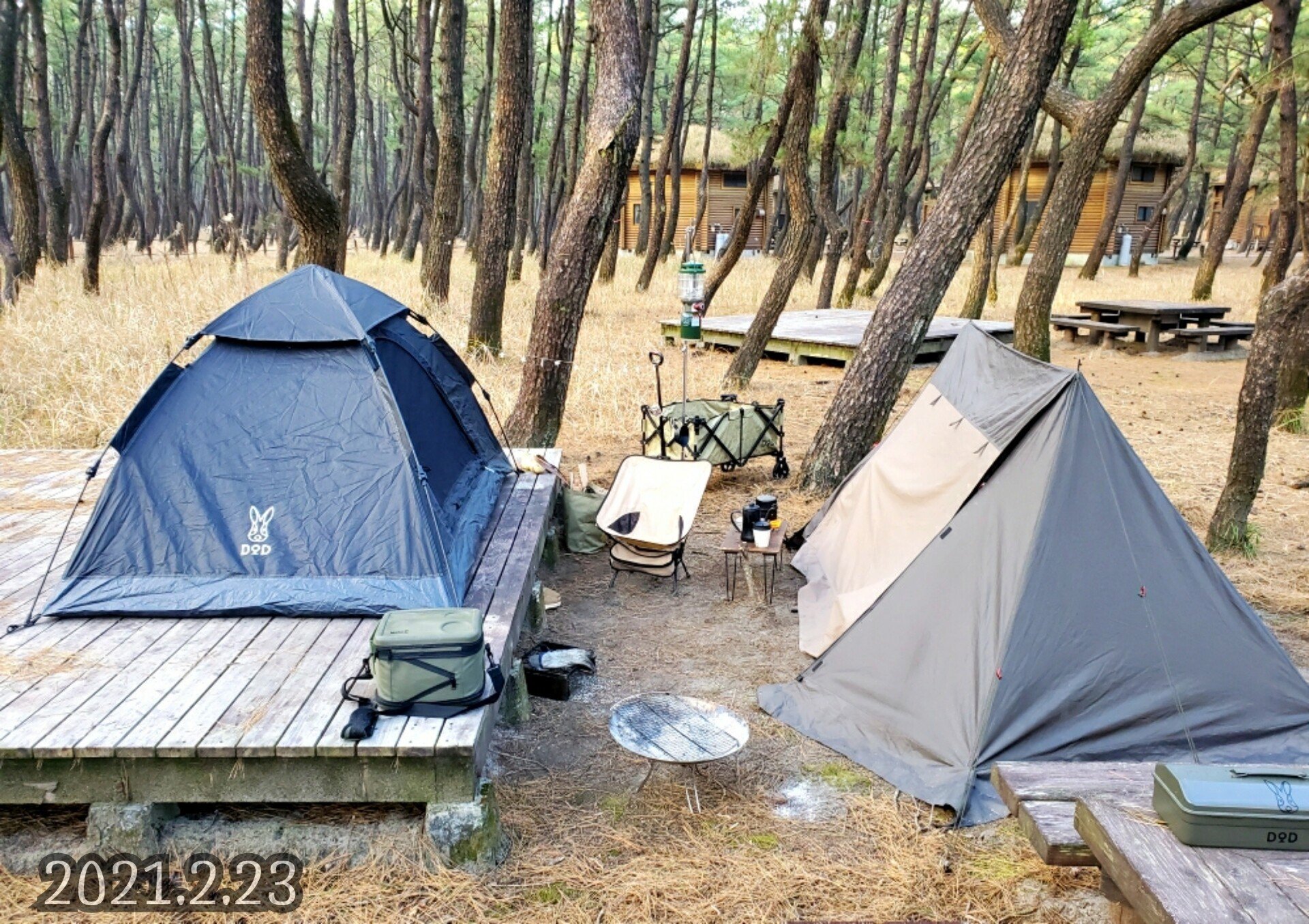 2021.2.22～23 （キャンプ２日目） DODワンタッチテント｜MOKA（+ Camp Life）｜note