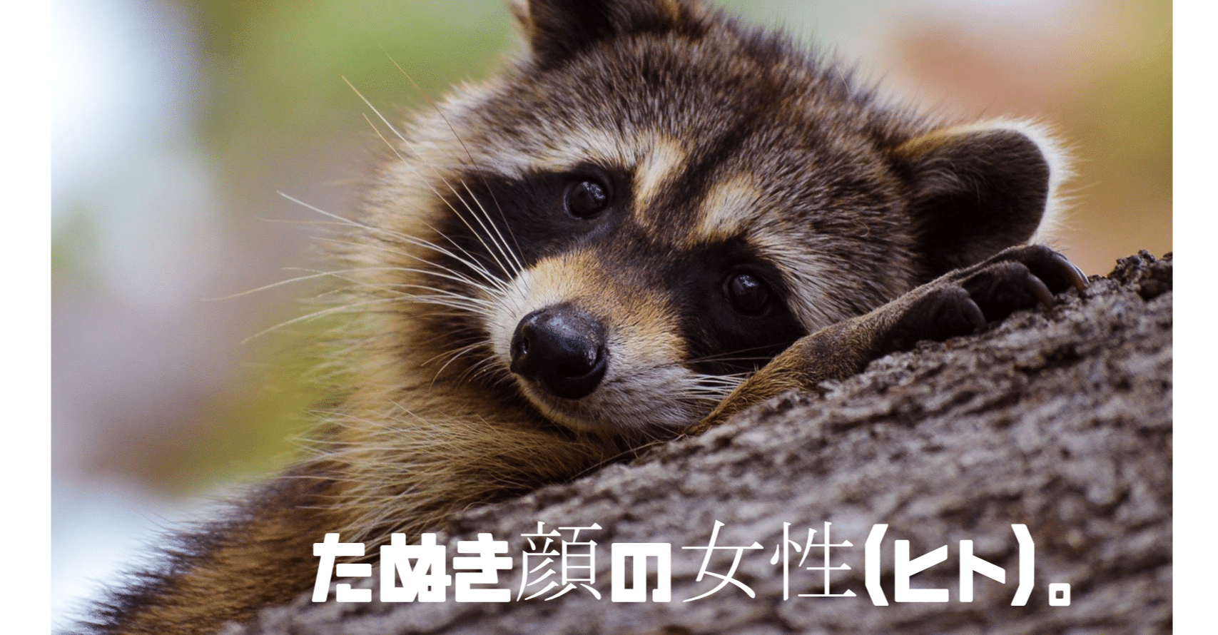 ショートショート 108【たぬき顔の女性（ヒト）】｜鈴木意斗（すずき