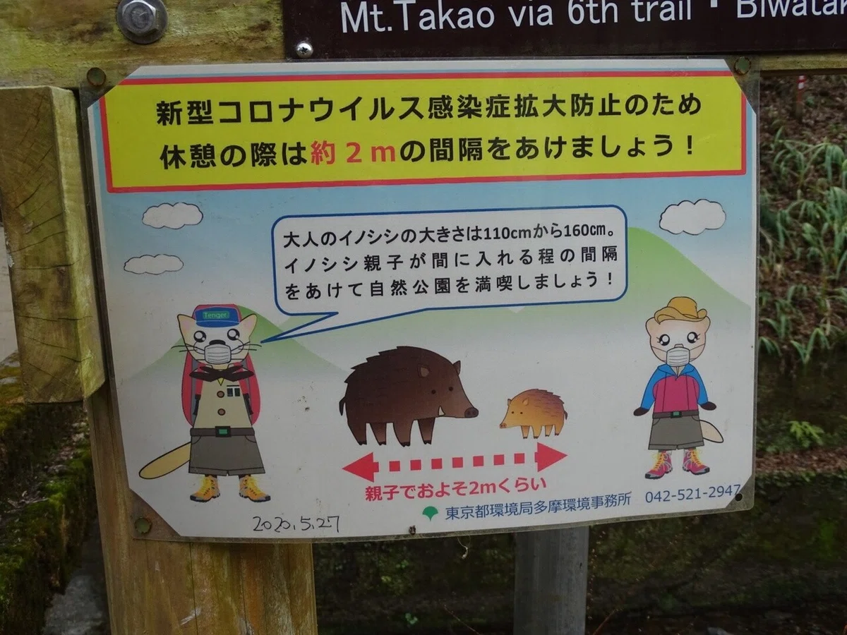 画像9
