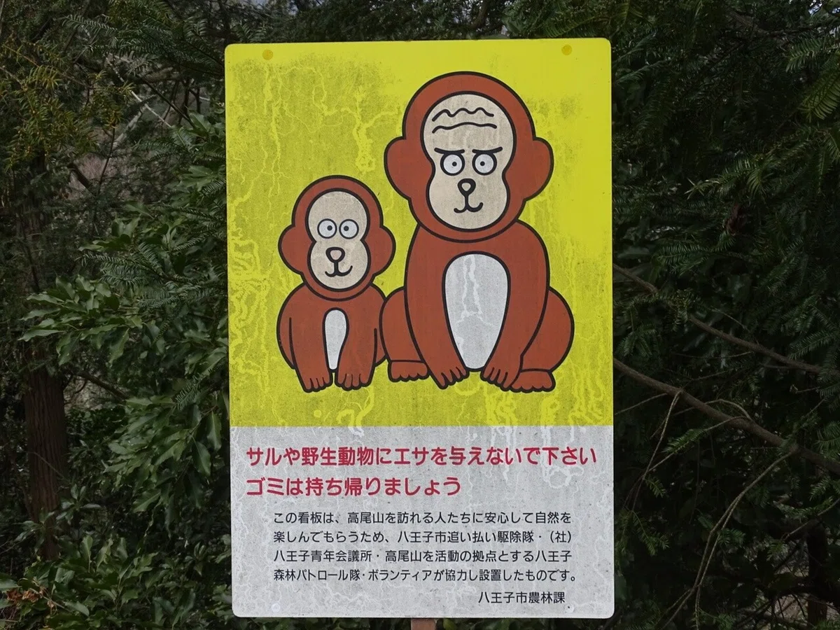 画像13