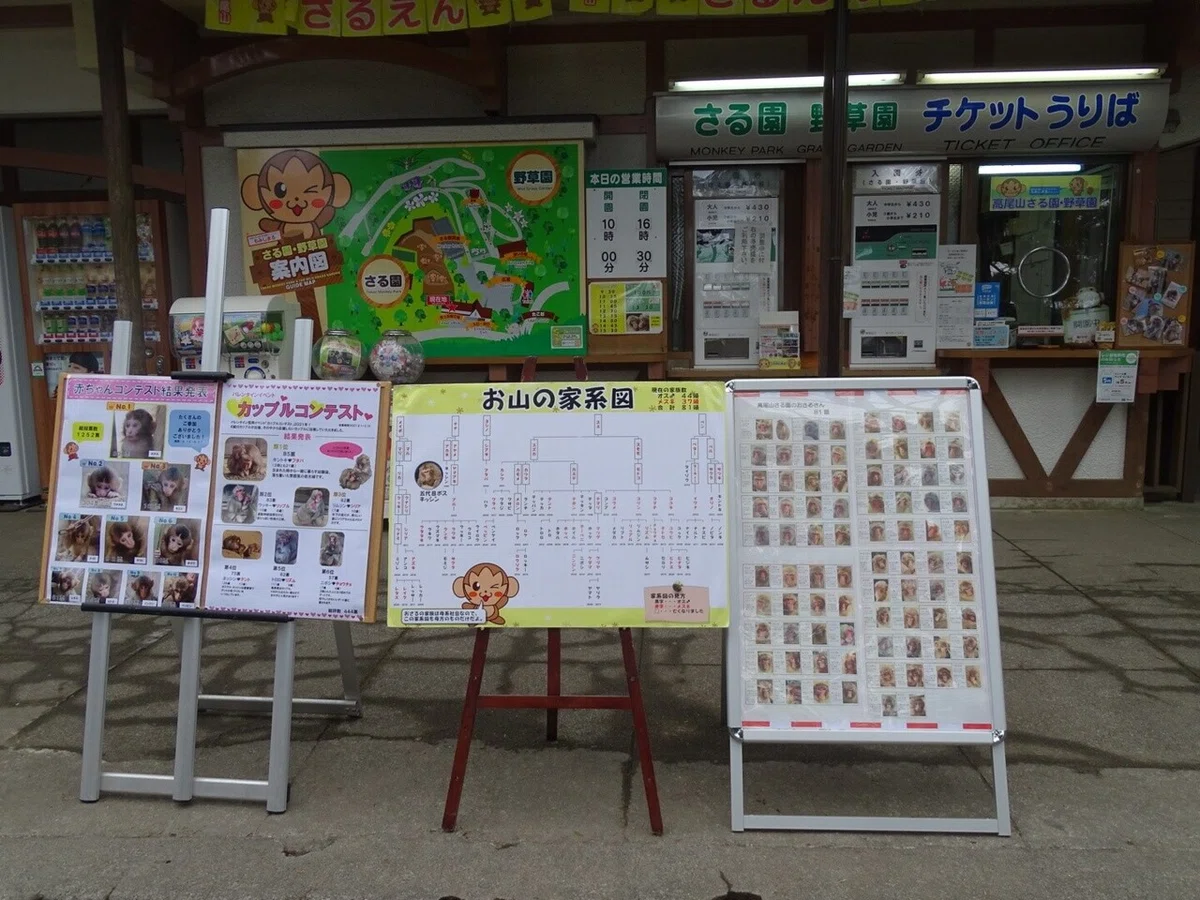 画像17