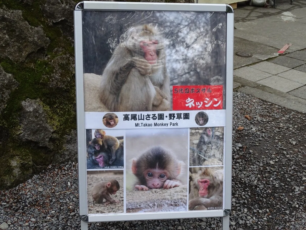 画像16