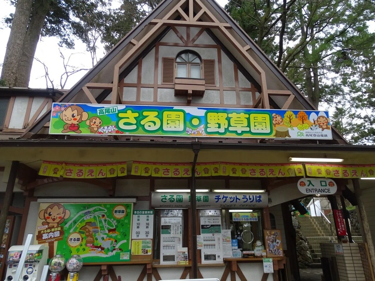 画像14
