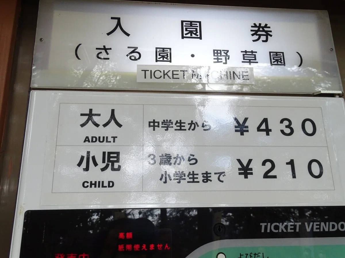 画像18