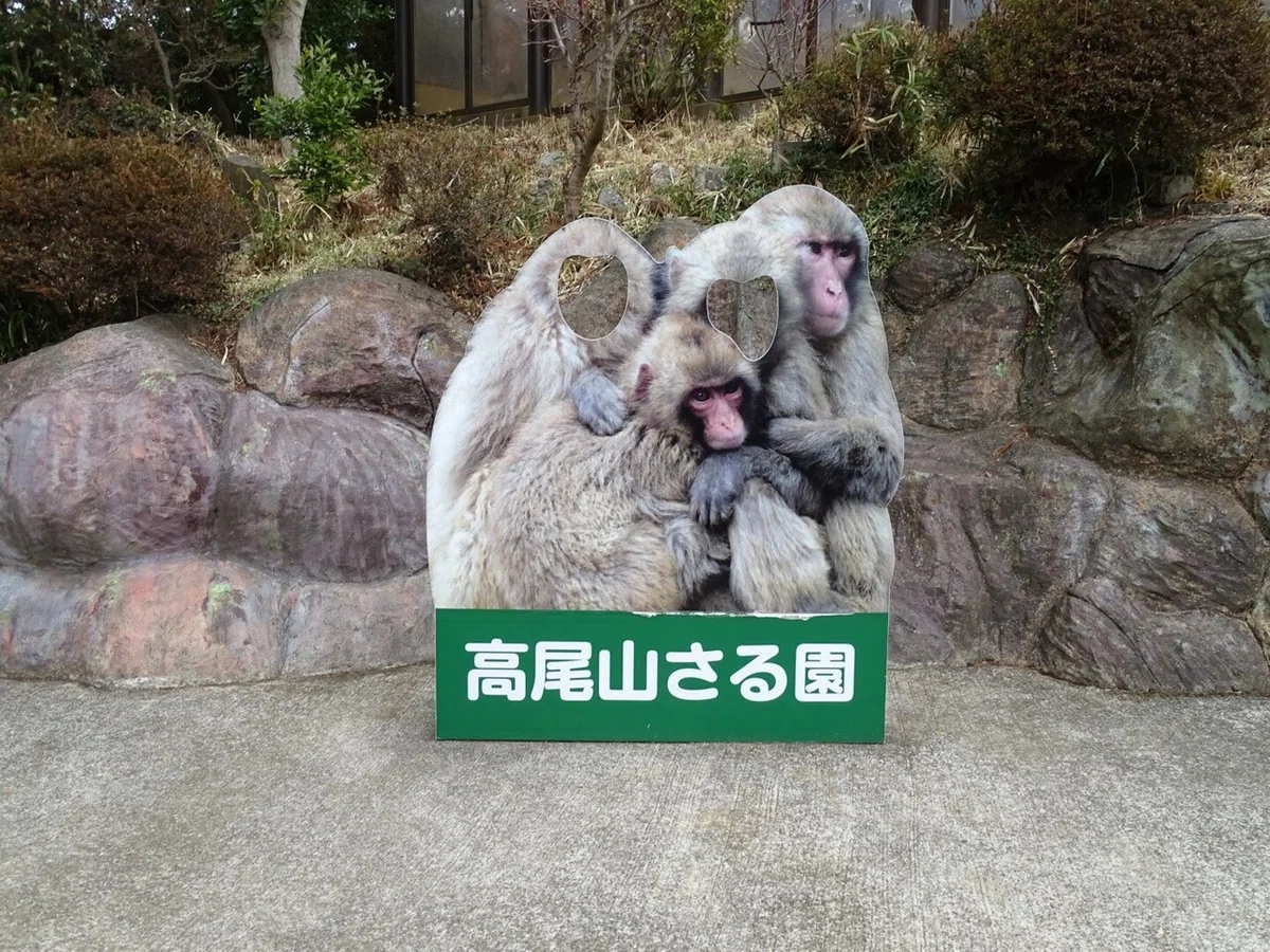 画像23