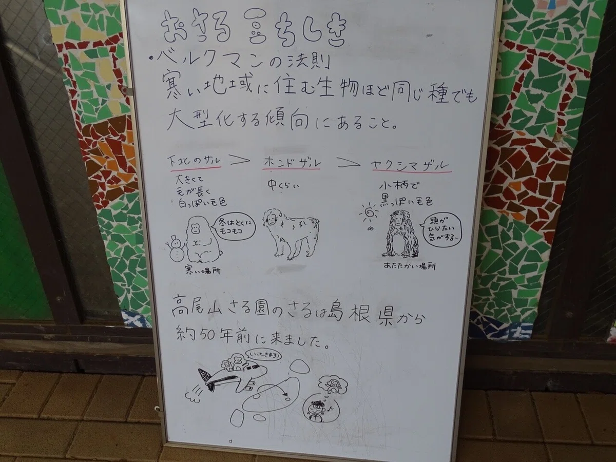 画像27
