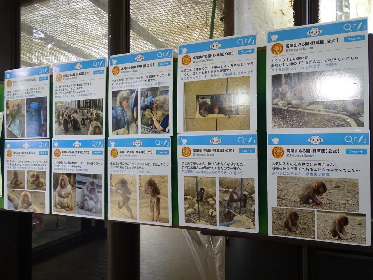画像29