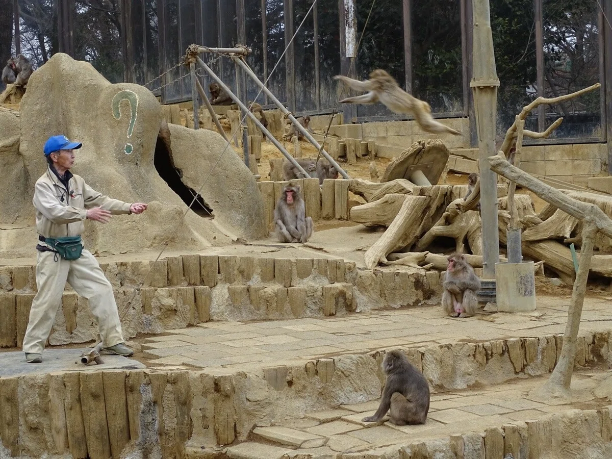 画像37