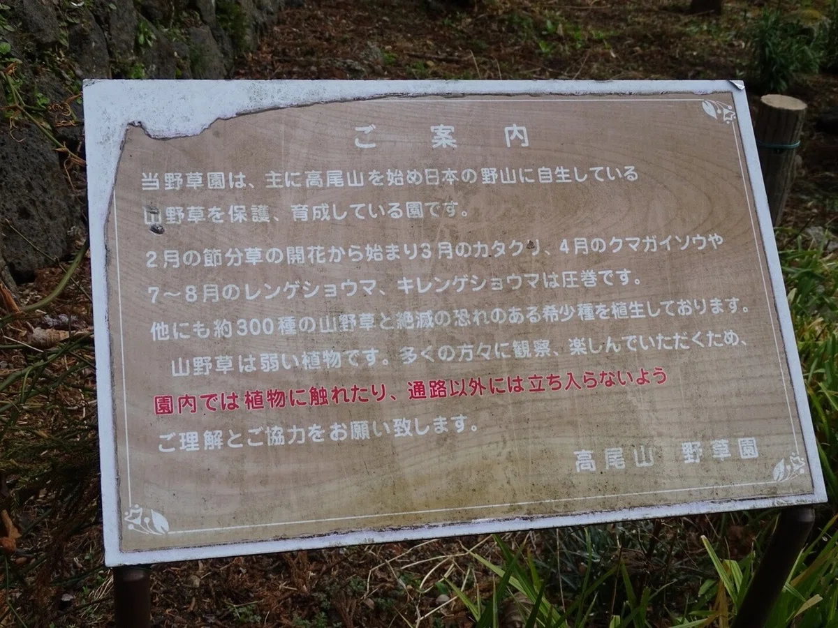 画像62