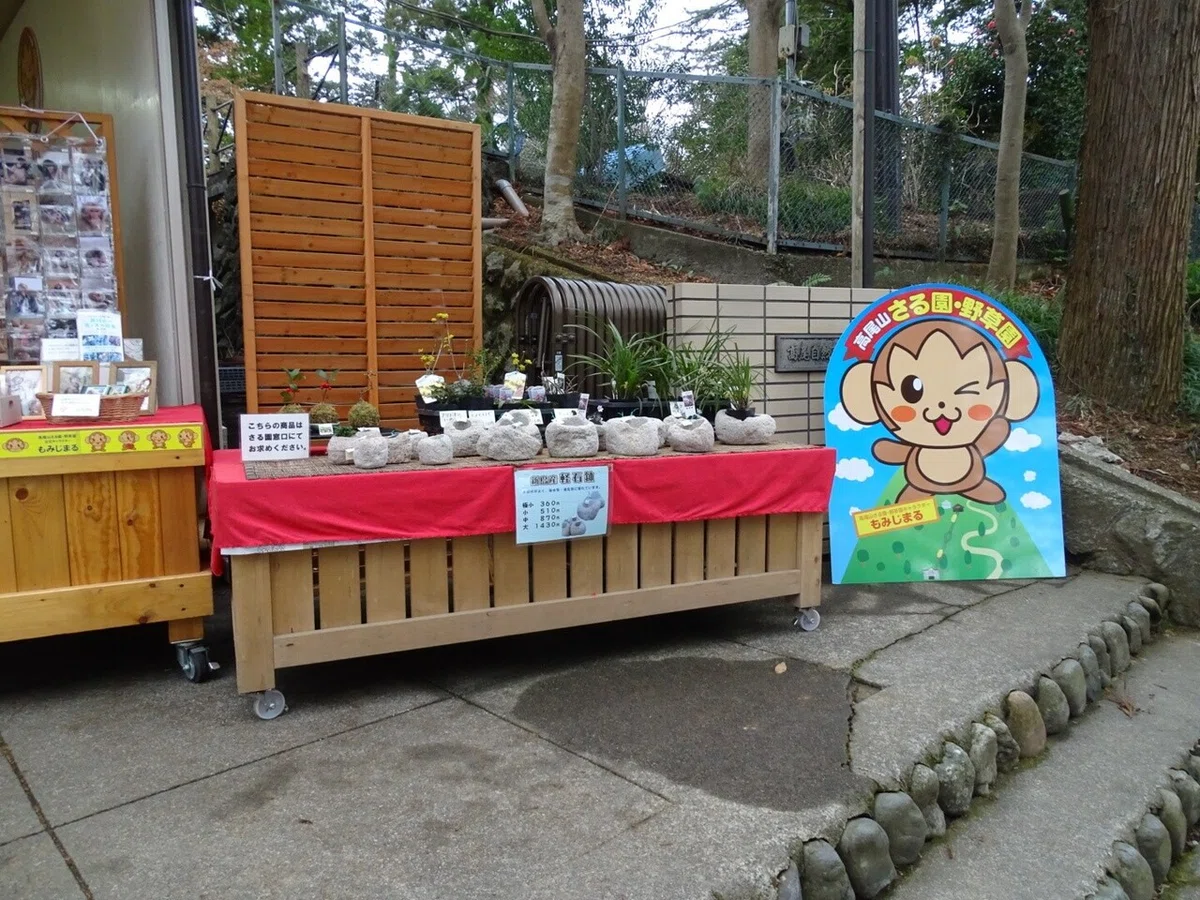 画像70